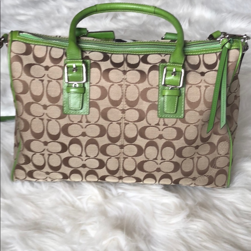 NWOT Beautiful Animal Striped Coach Bag - Picture 4 of 8